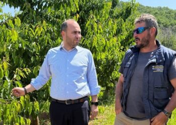 Επίσκεψη Λ. Βασιλειάδη στις πληγείσες περιοχές της Δ.Ε. Βεγορίτιδας για τις καταστροφές από τους παγετούς της Άνοιξης