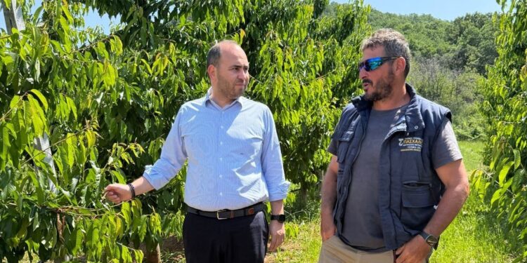 Επίσκεψη Λ. Βασιλειάδη στις πληγείσες περιοχές της Δ.Ε. Βεγορίτιδας για τις καταστροφές από τους παγετούς της Άνοιξης