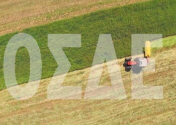 Μέχρι 31 Ιουλίου οι δηλώσεις ΟΣΔΕ 2025 – Αναλυτικά όλες οι φετινές αλλαγές