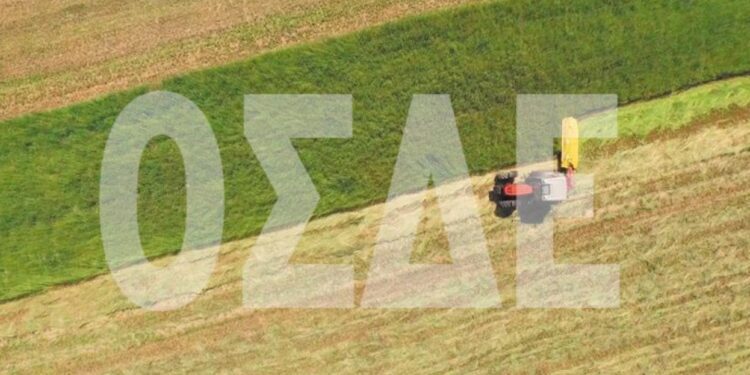 Μέχρι 31 Ιουλίου οι δηλώσεις ΟΣΔΕ 2025 – Αναλυτικά όλες οι φετινές αλλαγές