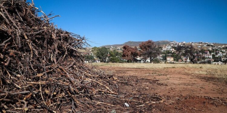 Ακαθάριστα οικόπεδα: Έρχονται τσουχτερά πρόστιμα