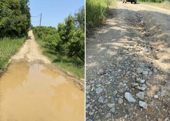 Εγκατάλειψη της αγροτικής οδοποιίας στο Αγρόκτημα Μεσημεριού – Φλαμουριάς