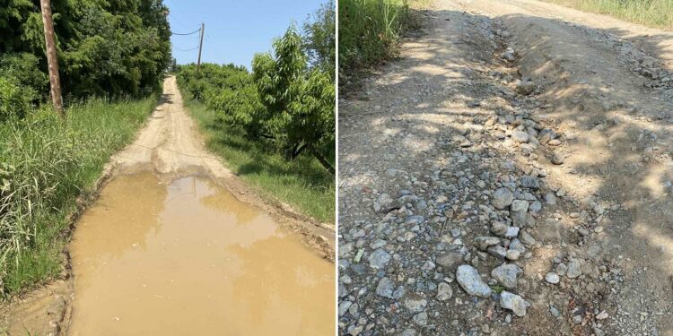 Εγκατάλειψη της αγροτικής οδοποιίας στο Αγρόκτημα Μεσημεριού – Φλαμουριάς