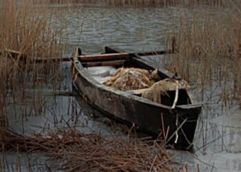 Αναβιώνει ο Μακεδονικός Αγώνας μέσα από ντοκιμαντέρ του Δήμου Πέλλας