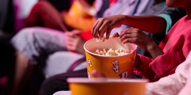 Βραδιές θερινού σινεμά στα Γιαννιτσά