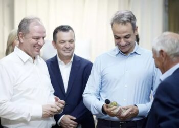 Στο πλευρό του Πρωθυπουργού Κ. Μητσοτάκη ο ΥφΑΑΤ Δ. Σταμενίτης: «Τα συνεργατικά σχήματα είναι το μέλλον του πρωτογενούς τομέα»