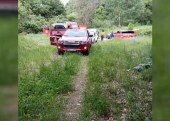 Δράμα: Πώς επιτέθηκε η αρκούδα στους δύο ορειβάτες – Συγκλονίζει η μαρτυρία του διασωθέντα