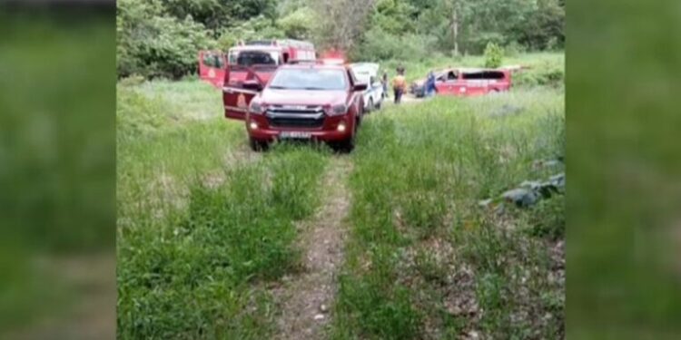 Δράμα: Πώς επιτέθηκε η αρκούδα στους δύο ορειβάτες – Συγκλονίζει η μαρτυρία του διασωθέντα