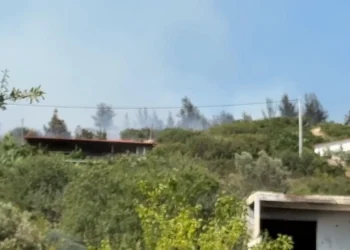 Φωτιά τώρα στην Θεσσαλονίκη πίσω από το νοσοκομείο Παπαγεωργίου – Ήχησε το 112 , απειλούνται σπίτια