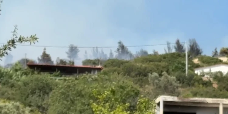 Φωτιά τώρα στην Θεσσαλονίκη πίσω από το νοσοκομείο Παπαγεωργίου – Ήχησε το 112 , απειλούνται σπίτια