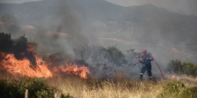 Φωτιά σε δασική έκταση στη Χαλκιδική – Ισχυρές δυνάμεις στο σημείο