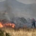 Φωτιά σε δασική έκταση στη Χαλκιδική – Ισχυρές δυνάμεις στο σημείο