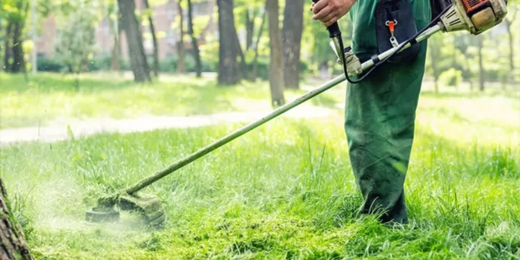 Εκπνέει η προθεσμία καθαρισμού των οικοπέδων, ξεκινούν τα πρόστιμα