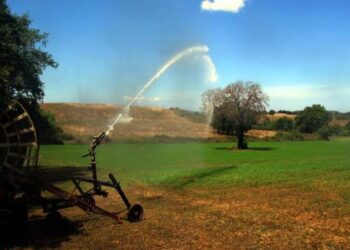 Δήμος Πέλλας: Ψηφίστηκε ο νέος Κανονισμός Άρδευσης – Εξορθολογισμός και βιωσιμότητα για το δημοτικό αρδευτικό δίκτυο