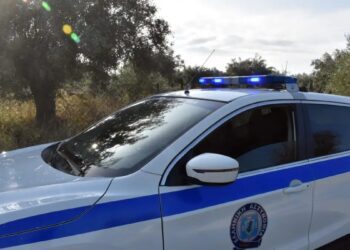 ΣΟΚ: 29χρονος βρέθηκε δολοφονημένος – Η σορός του ήταν κρυμμένη κάτω από τσίγκους και παλέτες