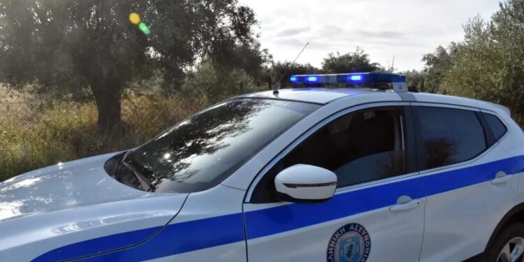 ΣΟΚ: 29χρονος βρέθηκε δολοφονημένος – Η σορός του ήταν κρυμμένη κάτω από τσίγκους και παλέτες