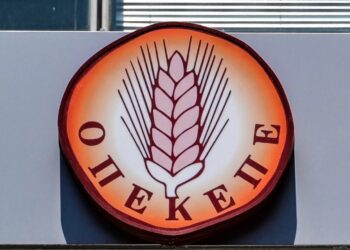 Ανατριχιάζουν οι διάλογοι του «Φραπέ» για τον ΟΠΕΚΕΠΕ: «Αν είχα σκοτώσει την Τυχεροπούλου τώρα θα ήμουν έξω»