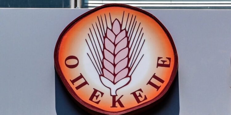 Ανατριχιάζουν οι διάλογοι του «Φραπέ» για τον ΟΠΕΚΕΠΕ: «Αν είχα σκοτώσει την Τυχεροπούλου τώρα θα ήμουν έξω»