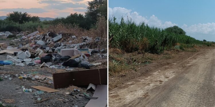 Σκύδρα: Δεν είναι δουλειά μόνο του Δήμου – Είναι ευθύνη όλων μας