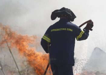 Ημαθία: Φωτιά σε χαμηλή βλάστηση στην Αλεξάνδρεια