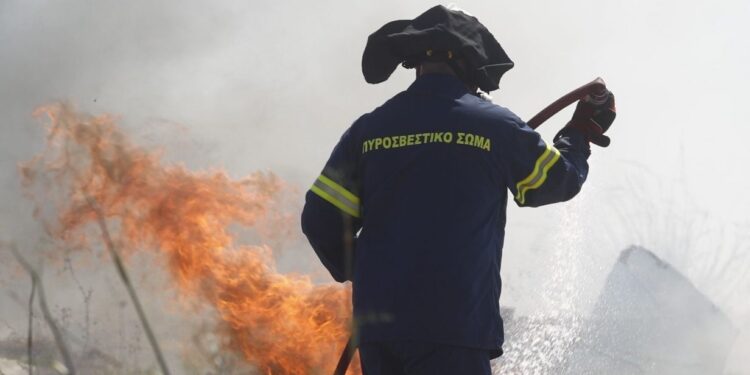 Ημαθία: Φωτιά σε χαμηλή βλάστηση στην Αλεξάνδρεια