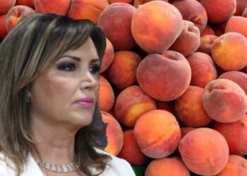 Αντιδράσεις στη Σκύδρα για τα πρόστιμα του ΣΔΟΕ σε αγρότες – Ηχηρή παρέμβαση από τη Δήμαρχο Κ. Ιγνατιάδου