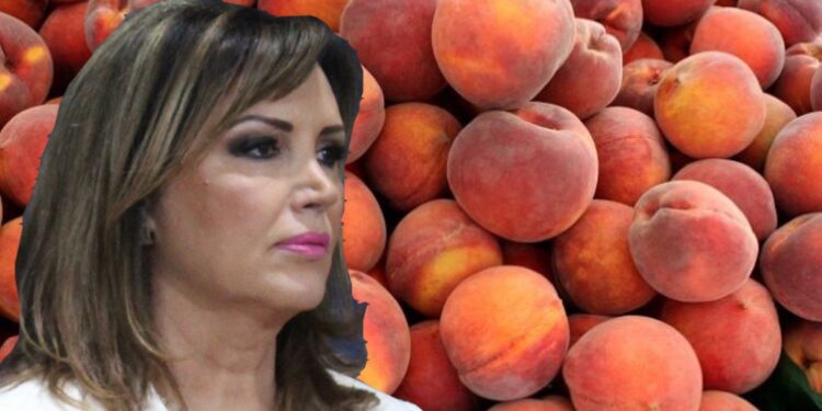 Αντιδράσεις στη Σκύδρα για τα πρόστιμα του ΣΔΟΕ σε αγρότες – Ηχηρή παρέμβαση από τη Δήμαρχο Κ. Ιγνατιάδου