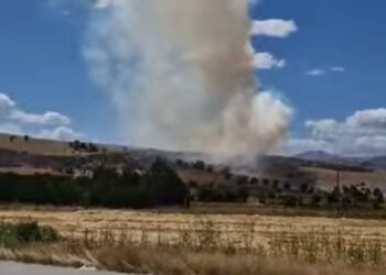 Ημαθία: Φωτιά σε σκουπιδότοπο έξω από το Μακροχώρι