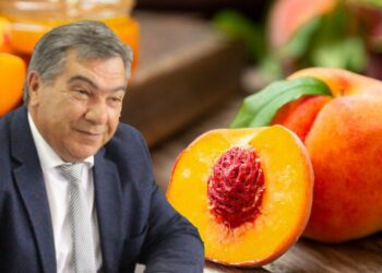 Πρόταση για καθιέρωση Γιορτής Ροδάκινου στον Εξαπλάτανο από τον Χρήστο Χουρσόγλου