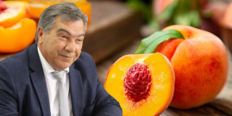 Πρόταση για καθιέρωση Γιορτής Ροδάκινου στον Εξαπλάτανο από τον Χρήστο Χουρσόγλου