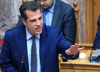 Πλεύρης για μεταναστευτικό: «Τέλος το παραμύθι με τις μωρομάνες, έχουμε σύνορα και θα τα προστατεύσουμε»