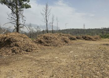 Ξεκίνησαν οι έλεγχοι σε ακαθάριστα οικόπεδα από την Πυροσβεστική – 3.748 καταγγελίες πολιτών σε 18 ημέρες