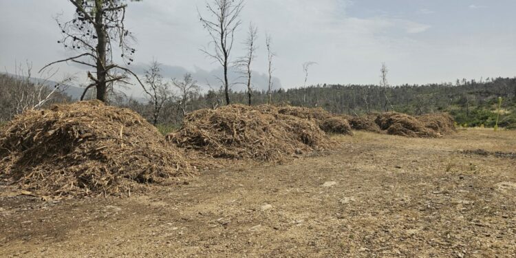 Ξεκίνησαν οι έλεγχοι σε ακαθάριστα οικόπεδα από την Πυροσβεστική – 3.748 καταγγελίες πολιτών σε 18 ημέρες