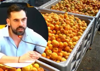 Δ. Κυριλίδης: Με 0,35€ ροδάκινο δεν θα μείνει αγρότης – Κυβέρνηση των καρτέλ η ΝΔ