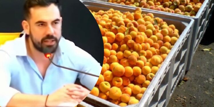 Δ. Κυριλίδης: Με 0,35€ ροδάκινο δεν θα μείνει αγρότης – Κυβέρνηση των καρτέλ η ΝΔ