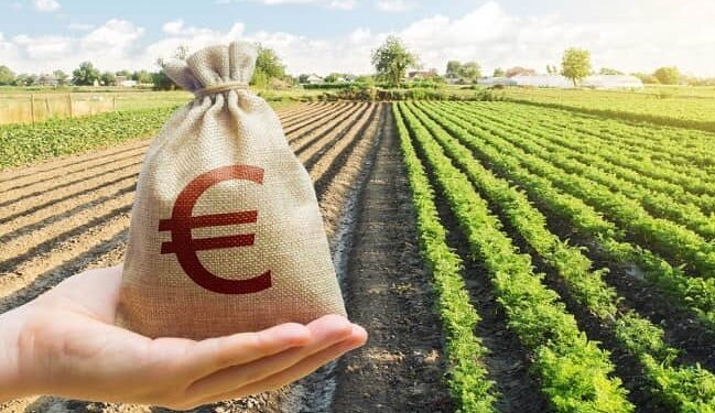 ΟΠΕΚΕΠΕ: Παράταση προθεσμίας υποβολής Ενιαίας Αίτησης Ενίσχυσης 2025