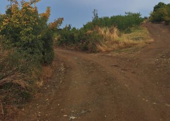 Σημαντικές παρεμβάσεις στο Θεοδωράκι – Σε εξέλιξη το πρόγραμμα παρεμβάσεων του Δήμου Αλμωπίας