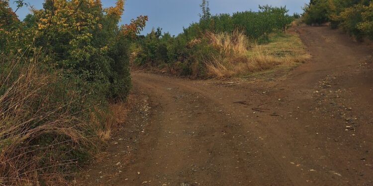 Σημαντικές παρεμβάσεις στο Θεοδωράκι – Σε εξέλιξη το πρόγραμμα παρεμβάσεων του Δήμου Αλμωπίας