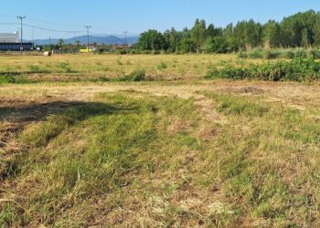 Τι απαντά ο Αντιπεριφερειάρχης Πέλλας για την φημολογούμενη εγκατάσταση μεταναστών στην Αριδαία