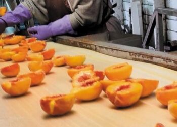 Ανάστατοι οι παραγωγοί για τις τιμές του συμπύρηνου ροδάκινου