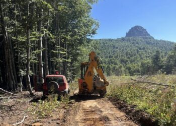 Σημαντικές παρεμβάσεις της Πολιτικής Προστασίας για την αντιπυρική θωράκιση της Αλμωπίας