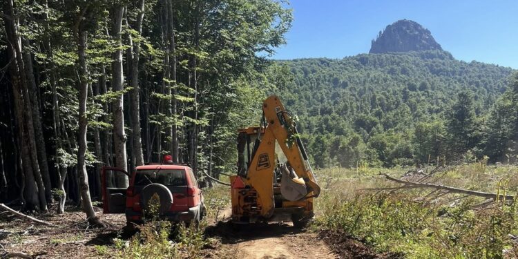 Σημαντικές παρεμβάσεις της Πολιτικής Προστασίας για την αντιπυρική θωράκιση της Αλμωπίας