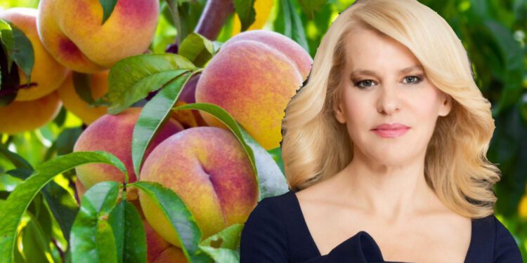 Τα καρτέλ διαλύουν την παραγωγή συμπύρηνου ροδάκινου