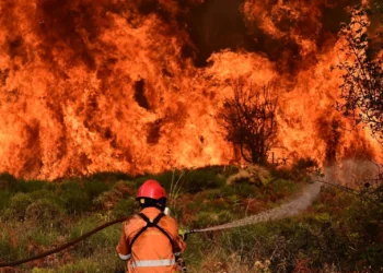 Συναγερμός στην Πέλλα: Φωτιά κοντά στα βόρεια σύνορα – Παρέμβαση στον Υπουργό Πολιτικής Προστασίας