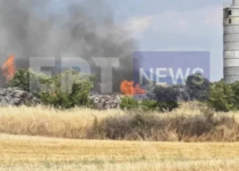 Μεγάλη φωτιά σε εργοστάσιο ξυλείας έξω από τις Σέρρες