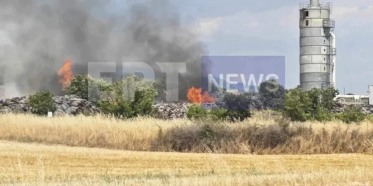 Μεγάλη φωτιά σε εργοστάσιο ξυλείας έξω από τις Σέρρες