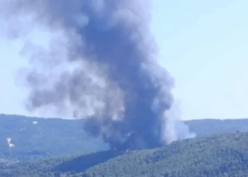 Φωτιά στη Βουρβουρού Χαλκιδικής – Μήνυμα από το 112 «αν βρίσκεστε στην περιοχή απομακρυνθείτε προς Νικήτη»