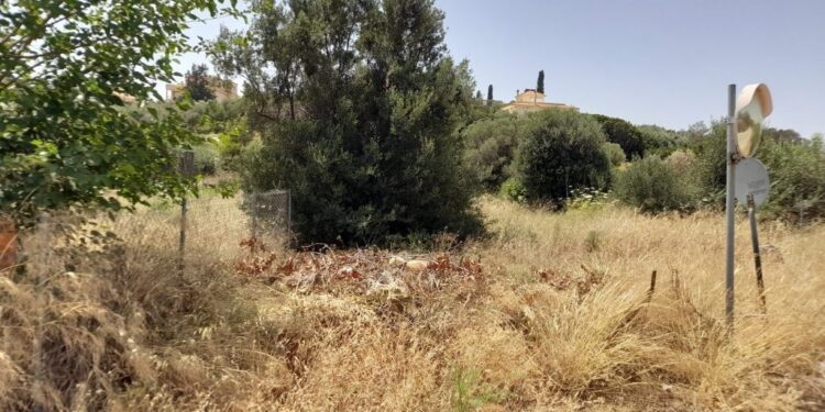 Πέλλα: Τσουχτερό πρόστιμο σε άνδρα που πέταξε εύφλεκτα υλικά σε αγροτική έκταση