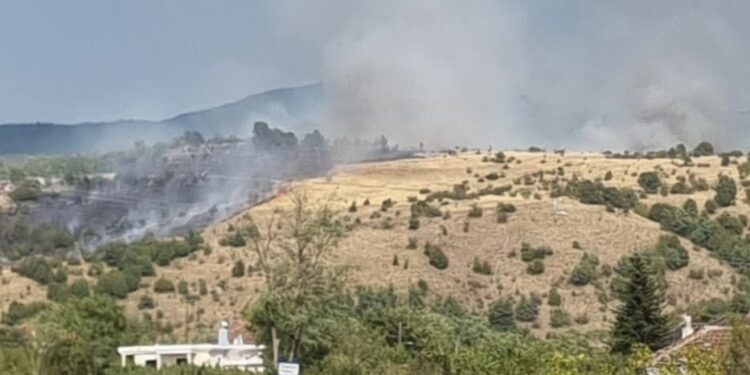 Αλμωπία: Φωτιά ανάμεσα σε Περίκλεια και Λαγκαδιά – Μεγάλη κινητοποίηση της Πυροσβεστικής