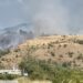 Αλμωπία: Φωτιά ανάμεσα σε Περίκλεια και Λαγκαδιά – Μεγάλη κινητοποίηση της Πυροσβεστικής